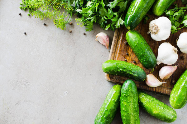 Preparation marinated conservation cucumbers with herbs, garlic, salt, and spice.