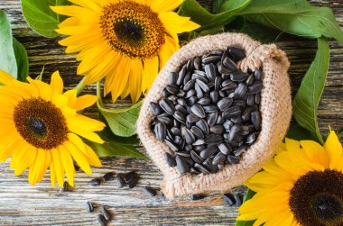 Arka plan ve sarı ayçiçeği karşı ahşap bir masa üzerinde çuval torba içinde Çiğ ayçiçeği tohumu.