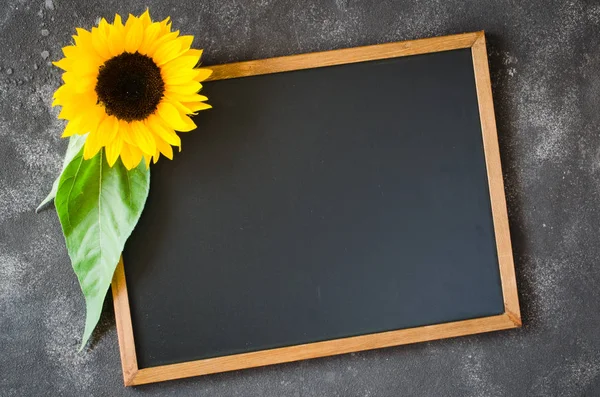 Blank chalkboard on dark stone with sunflower. Autumn background for fall season. — Stock Photo, Image