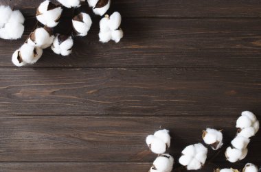 Kahverengi ahşap arka planda pamuk çiçeği dalı. Sıcak sonbahar ve organik yaşam tarzı konsepti.