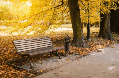 Sonbaharda şehir parkındaki bankta. Sonbahar manzarası. Güneşli havada güzel bir sonbahar parkı.