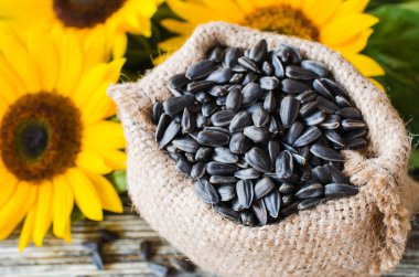 Çuval bezi çantasındaki çiğ ayçekirdeği ahşap bir masada arka planda ve sarı ayçiçeğine karşı. Ekolojik ambalajda kızarmış ayçiçeği taneleri.