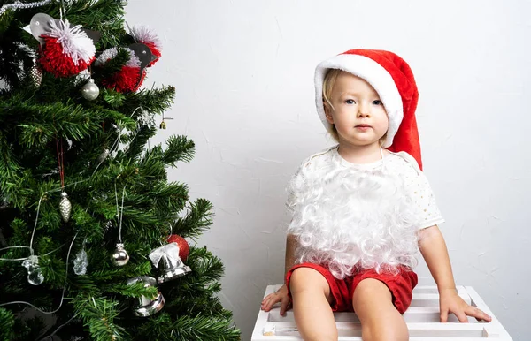 Boże Narodzenie: Dziewczyna dziecko w czerwonym kapelusza siedzi w pobliżu drzewa z zabawkami i wbija rękę w duży zielony skarpety świąteczne. — Zdjęcie stockowe