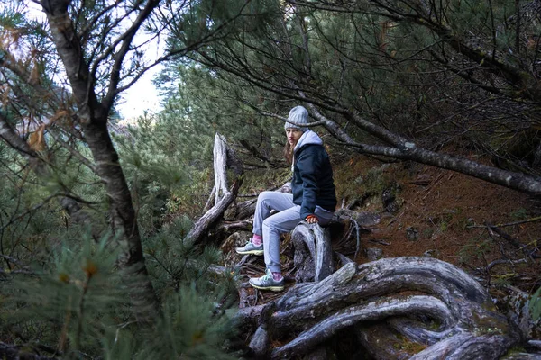 Una niña en un sombrero de punto y ropa de abrigo se sienta en un tronco seco en un bosque de coníferas de otoño . —  Fotos de Stock