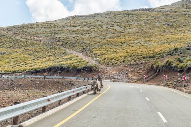 Kara dağ geçidi, Lesoto - 24 Mart 2018: A Basotho adam (bir Mosotho) ve onun eşek siyah dağ geçidi üstündeki. 3240 metre deniz seviyesinden Pass en yüksek noktasıdır