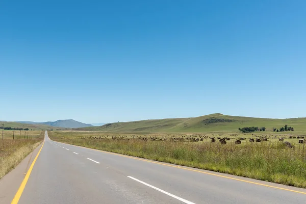 Paysage Agricole Avec Des Balles Herbe Côté Route R56 Entre — Photo