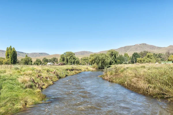 Fiume Bell Con Rodi Nella Provincia Del Capo Orientale Sul — Foto Stock