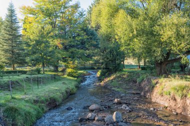 Bir akarsu ile Rodos, küçük bir köy içinde Eastern Cape Province bir yaya köprüsü