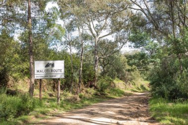 Adı panosu için Bayan Grey, Eastern Cape Province tarihi Jouberts geçidinde dibinde Maloti manzaralı yoldan Bayan Grey, Güney Afrika - 29 Mart 2018: