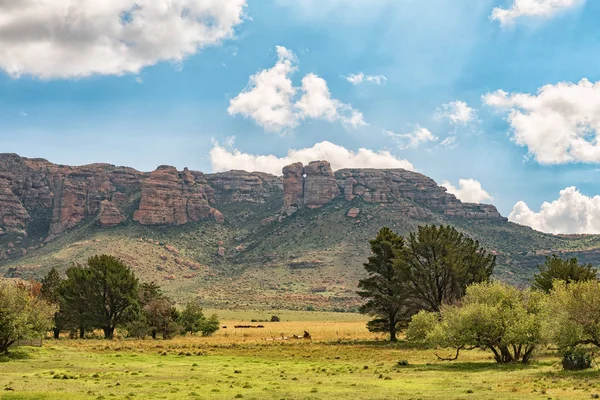 Een Weergave Van Aasvoelberg Gier Berg Zastron Free State Provincie — Stockfoto