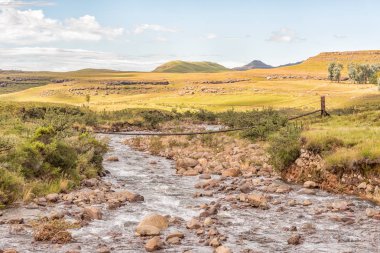 Mlambonja Nehri iz Drakensberg Bahçe Kalesi'nde hiking üç havuzu başında bir yaya köprüsü