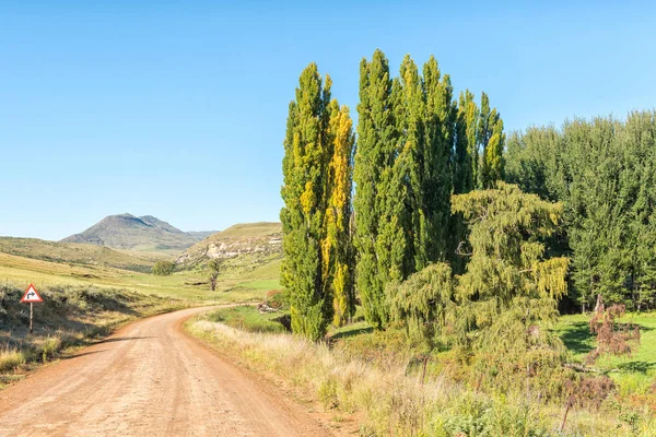 Paysage Agricole Automne Sur Route R396 Entre Rhodes Barkly Est — Photo