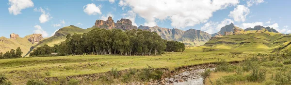 南アフリカ 2018 ドラケンスバーグ山脈 仙人木キャンプは木と Mlambonja 川の前の間です Rhino のピークが右に — ストック写真