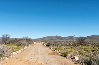 Ceres, Batı Cape Eyaleti R356 yolda düşük düzeyde bir köprü ve sığır Kılavuzu