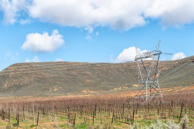 Ceres, Batı Cape Province yakınlarındaki R46 yolu üzerinde çiftlik manzara. Espalier meyve ağaçları ve elektrik altyapısı tarafından görülebilir