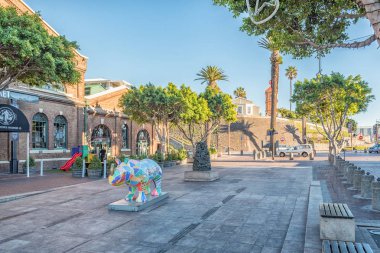 Cape Town, Güney Afrika, 9 Ağustos 2018: bir sahne, bir çok renkli gergedan heykel, Victoria ve Alfred Waterfront Cape Town içinde Batı Cape Eyaleti ile