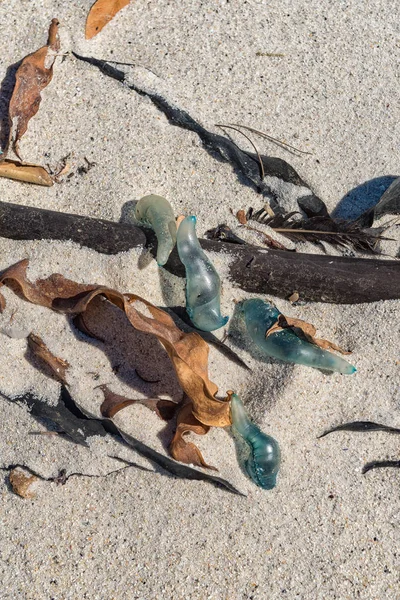 Blaue Flecken Einem Strand Der Bucht Von Camps Kapstadt Der — Stockfoto