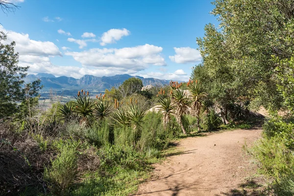 Una Ruta Senderismo Monumento Lengua Afrikaans Paarl Provincia Occidental Del — Foto de Stock