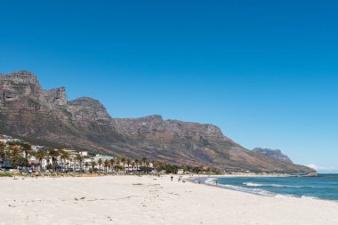 Cape Town, Güney Afrika, 9 Ağustos 2018: insanlar ve Camps Bay Cape Town içinde Batı Cape Province bir plajda bir köpek. 12 havariler görünür bir parçasıdır