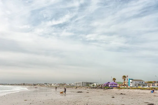 南非梅尔克博斯特兰德 2018年8月19日 西开普省梅尔克博斯兰德的海滩场景 建筑物 狗和人都是可见的 — 图库照片