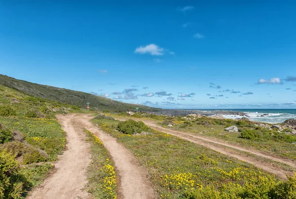 West Coast National Park Afryka Południowa Sierpień 2018 Plankiesbaai Postberg — Zdjęcie stockowe