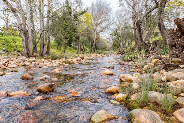 View Eerste River Stellenbosch Western Cape Province — Stock Photo, Image