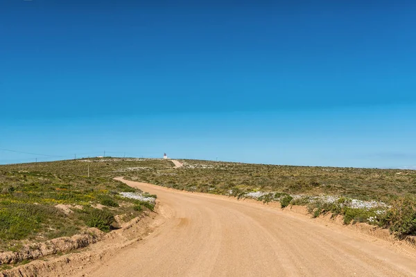 Road Tietiesbaai Paternoster Cape Columbine Lighthouse Wild Flowers Visible — Stock Photo, Image