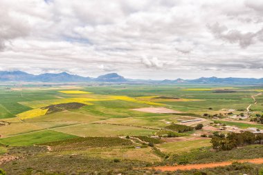 Citrusdal, Güney Afrika, 22 Ağustos 2018: Piketberg ve Citrusdal içinde Batı Cape Eyaleti arasındaki Piekenierskloof geçidinde dan görüldüğü gibi bir çiftlik manzara. Çiftlik binaları, kanola ve Mısır alanları görünür