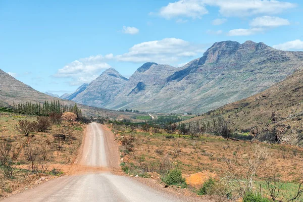 Road Landscape Keurbos Cederberg Mountains Western Cape Province South Africa — Stock Photo, Image