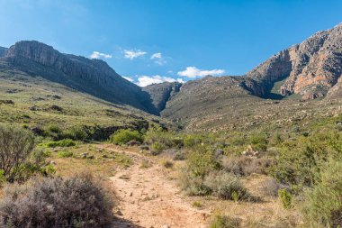 Cezayir 'deki Middelberg Şelalesi' ne giden yol Batı Afrika 'nın Cape Eyaleti' ndeki Cederberg Dağları 'nın vahşi alanı.