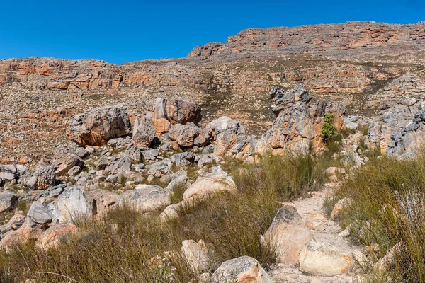 Szlak Turystyczny Bokveldskloof Krzyża Maltańskiego Pobliżu Dwarsrivier Górach Cederberg Prowincji — Zdjęcie stockowe