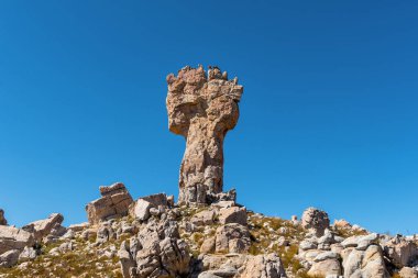Batı Cape Eyaleti 'nin Cederberg Dağları' ndaki Dwarsrivier yakınlarında Bokveldskloof yürüyüş yolunda Malta Haçı.