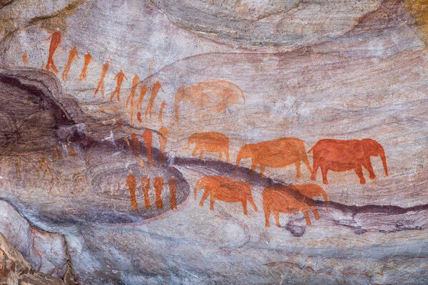 San rock art at the Stadsaal Caves in the Cederberg Mountains in the Western Cape Province. Elephants and people are visible are visible