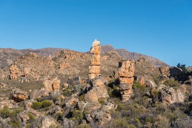 Cederberg Dağları 'ndaki Dwarsrivier' de Çok Eşli Yürüyüş Yolu 'nda kaya oluşumları