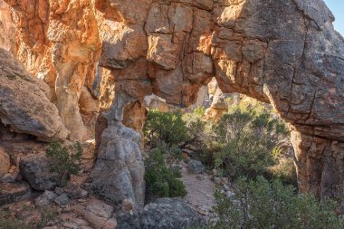 Cederberg Dağları 'ndaki Dwarsrivier' de Çok Eşli Yürüyüş Yolundaki Kaya Kemeri