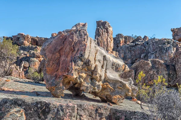 Rock Formation Resembling Giant Vertebrae Lots Wife Hiking Trail Dwarsrivier — Stock Photo, Image