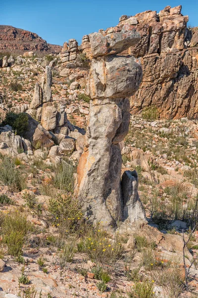 セダーバーグ山脈のドワーフリビエのロット妻ハイキングコースでの岩の形成 — ストック写真