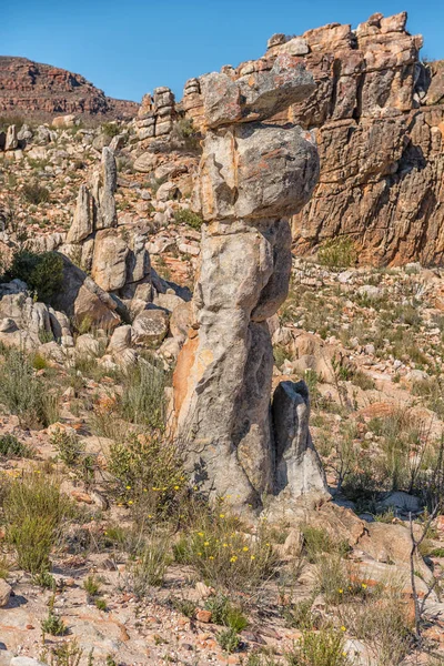 Rotsformatie Lots Wife Wandelweg Bij Dwarsrivier Het Cederberg Gebergte — Stockfoto