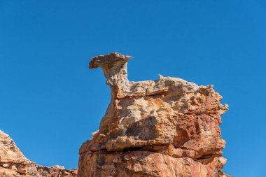 A rock formation, resembling a camel lying down, at Truitjieskraal in the Cederberg Mountains of the Western Cape Province clipart