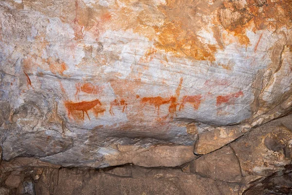 San Schilderijen Bij Truitjieskraal Het Cederberggebergte Van Provincie West Kaap — Stockfoto