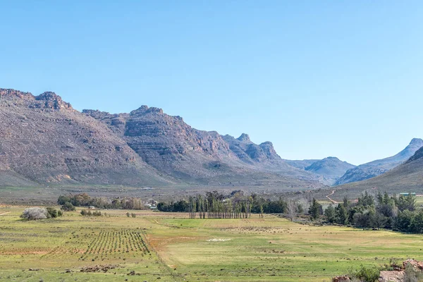 Paysage Agricole Kromrivier Dans Les Monts Cederberg Province Cap Occidental — Photo