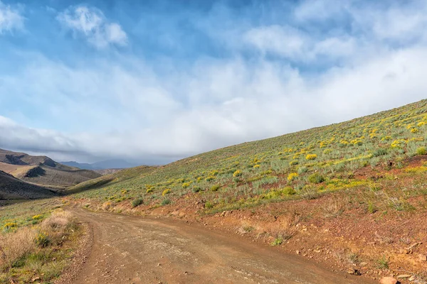 位于西开普省 Cederberg 山脉的 Matjiesrivier Wupperthal 之间的道路 野花是可见的 — 图库照片