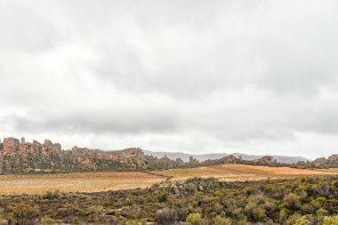 Rooibos çay tarlaları yanında Eselbank ve Wupperthal Cederberg dağlarda Batı Cape Eyaleti arasındaki yol