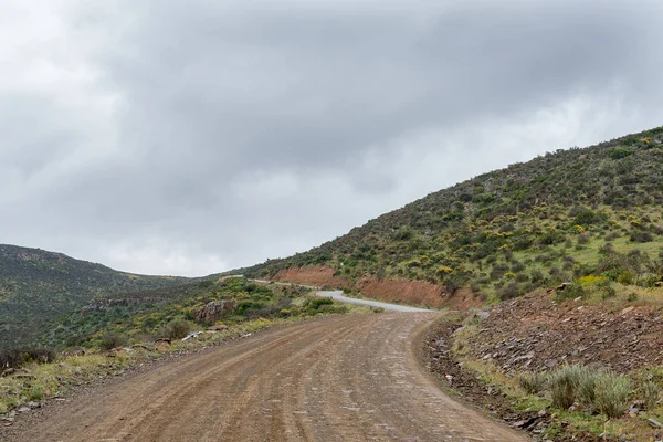 Wupperthal とのウエスタン ケープ州セダーバーグ 山中クランウィリアム間の道路に Hoek ベルク — ストック写真