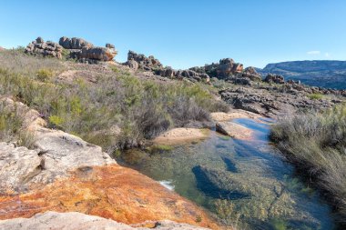 Riverside Arch Hiking Trail Clanwilliam içinde Batı Cape Province Cederberg dağlarında peyzaj
