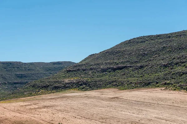 南非北开普省Rooibos传统路线上的一个Rooibos茶田 — 图库照片