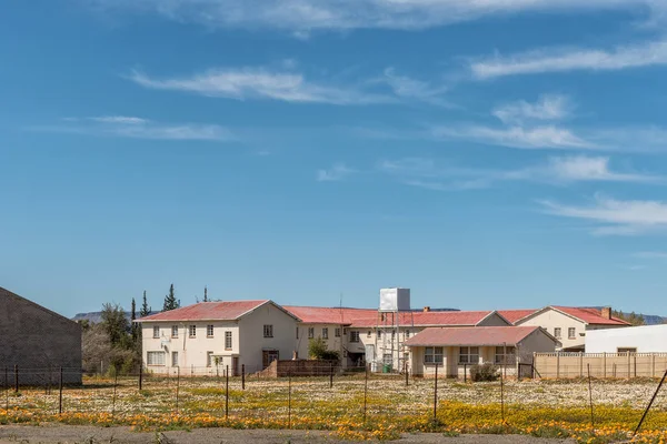 Calvinia, Güney Afrika, 30 Ağustos 2018: bir sokak sahne Calvinia, Northern Cape Eyaleti. Kır çiçekleri ve orta okul hostel görülebilir