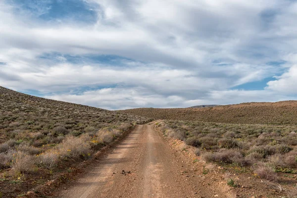 Paisaje Vial Tankwa Karoo Provincia Del Cabo Norte Sudáfrica — Foto de Stock