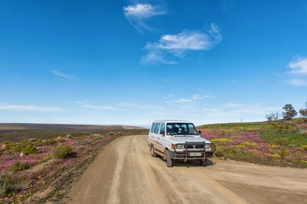 南非坦克瓦卡鲁国家公园 2018年8月31日 南非坦克瓦卡鲁的甘纳加旅馆附近的道路景观与紫色和黄色的野花 车辆是可见的 — 图库照片