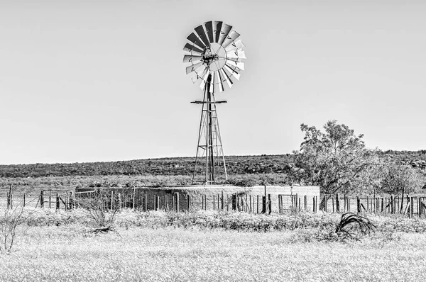 Paesaggio Con Mulino Vento Fiori Matjiesfontein Vicino Nieuwoudtville Nella Provincia — Foto Stock